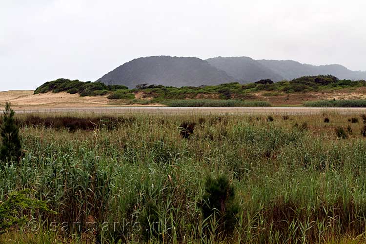De hoogste begroeide duinen bij Saint Lucia in Zuid-Afrika