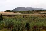 De hoogste begroeide duinen bij Saint Lucia in Zuid-Afrika