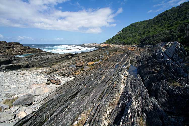 Een van de mooie uitzichten over het Otter Trail in Tsitsikamma National Park