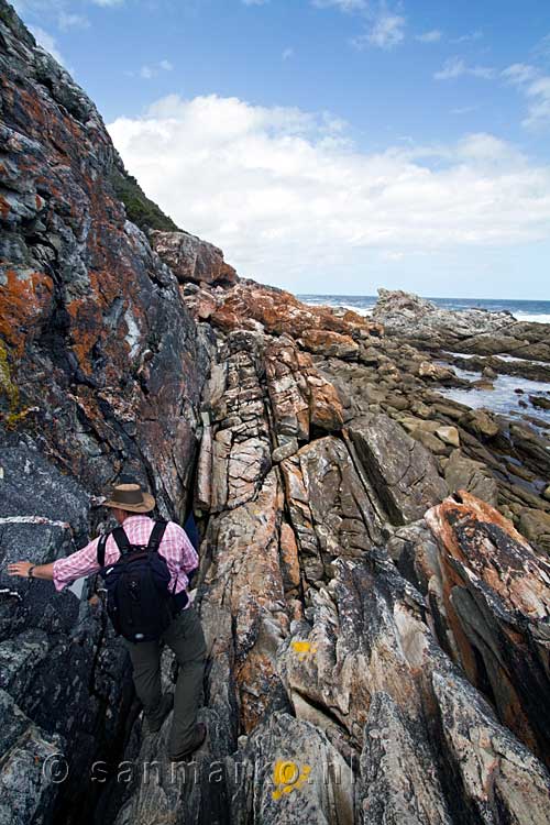 Het wandelpad van het Otter Trail in Tsitsikamma National Park in Zuid-Afrika