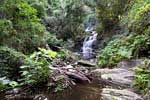 De mooie natuur van de waterval langs het Blue Duiker Trail in Tsitsikamma NP
