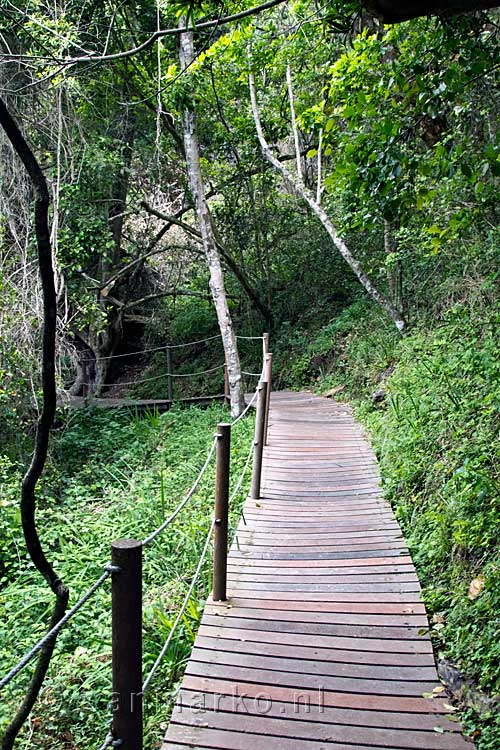 Het vlonderpad van Storms River Mouth Rest Camp naar de Suspension Bridge