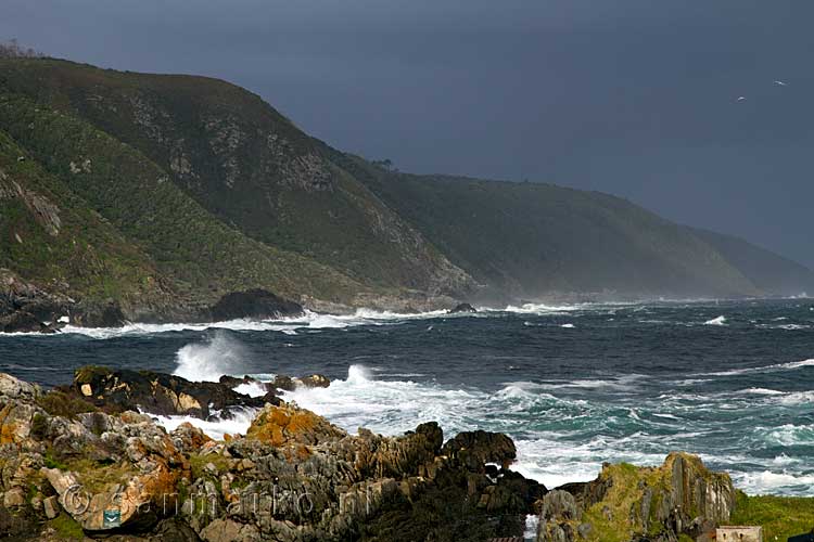 De kustlijn bij Tsitsikamma National Park in Zuid-Afrika