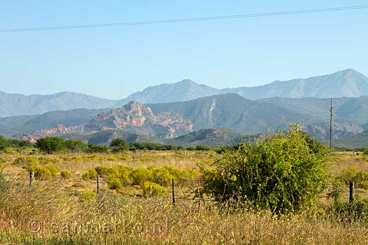 Aan de R62 een mooi uitzicht over Swartberg bij Oudtshoorn