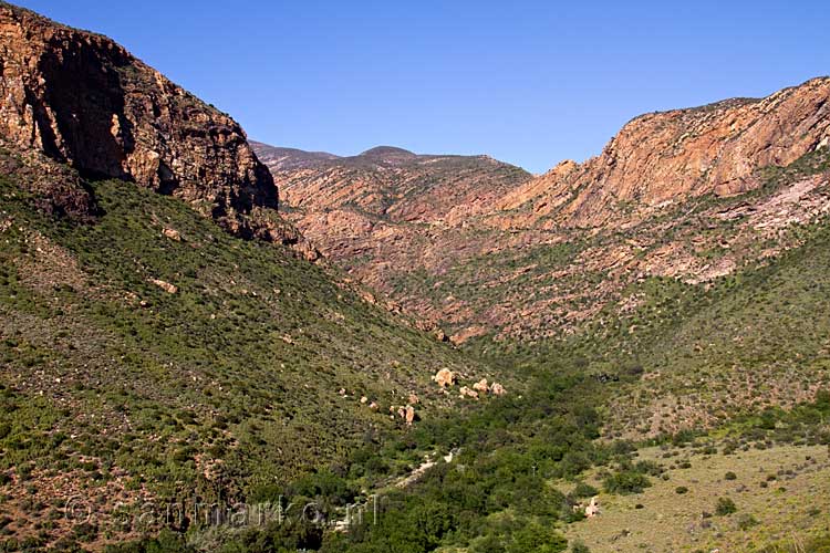 Bij de Kleine Karoo is rijden over de R62 in Zuid-Afrika erg leuk