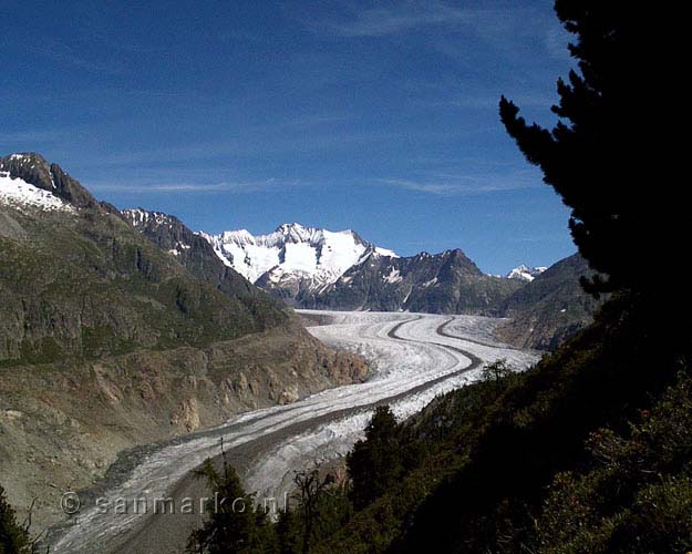 De Aletschgletsjer in Wallis in Zwitserland