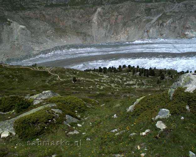 Het uiteinde van de Aletschgletsjer in Wallis