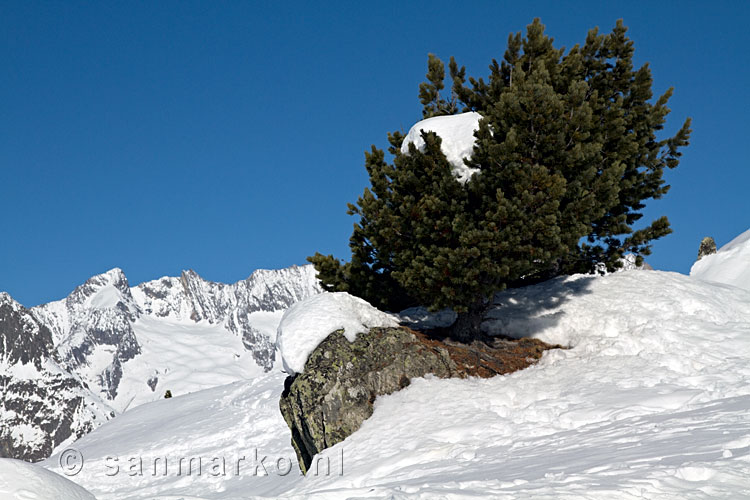 Uitzicht op de graat bij de Aletschgletsjer in Wallis