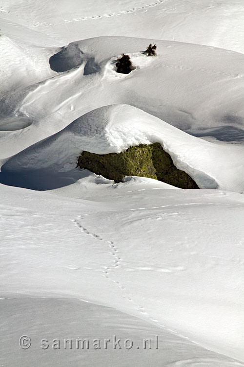 Bijna ongerepte sneeuw tijdens het winterwandelen bij de Aletschgletsjer