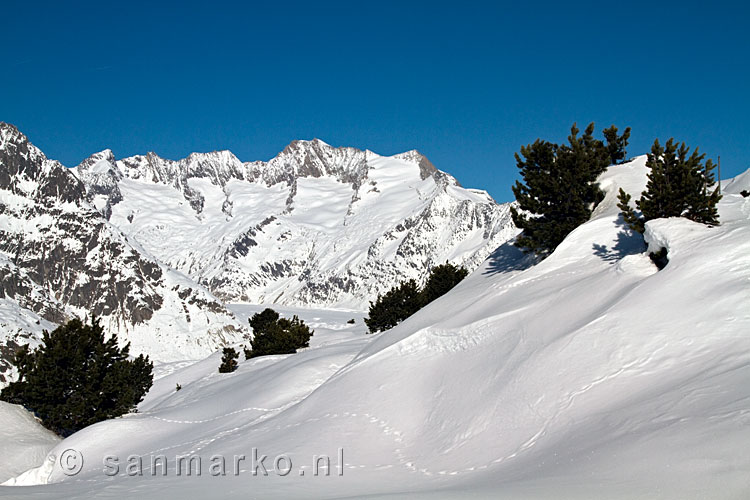 Uitzicht over de Aletschgletsjer tijdens het wandelen over de graad bij Hohfluh in Wallis