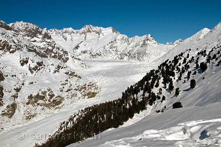 De Gross Wannenhorn, Strahlhorn en de Aletschgletsjer in Zwitserland