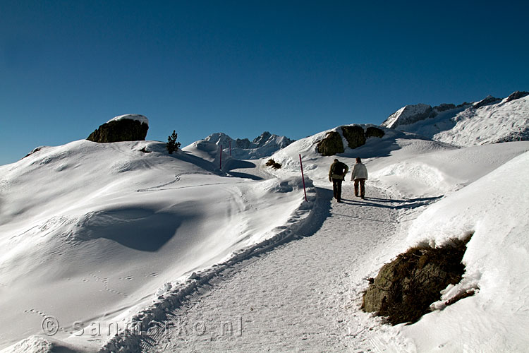 De winterwandelweg over de graad bij de Aletschgletsjer bij Riederalp