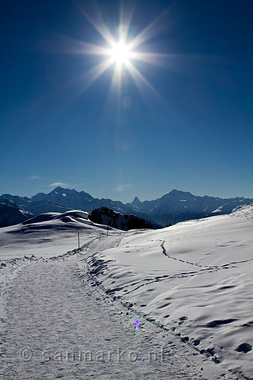 Strak blauwe lucht tijdens het wandelen van Riederalp naar Riederfurka