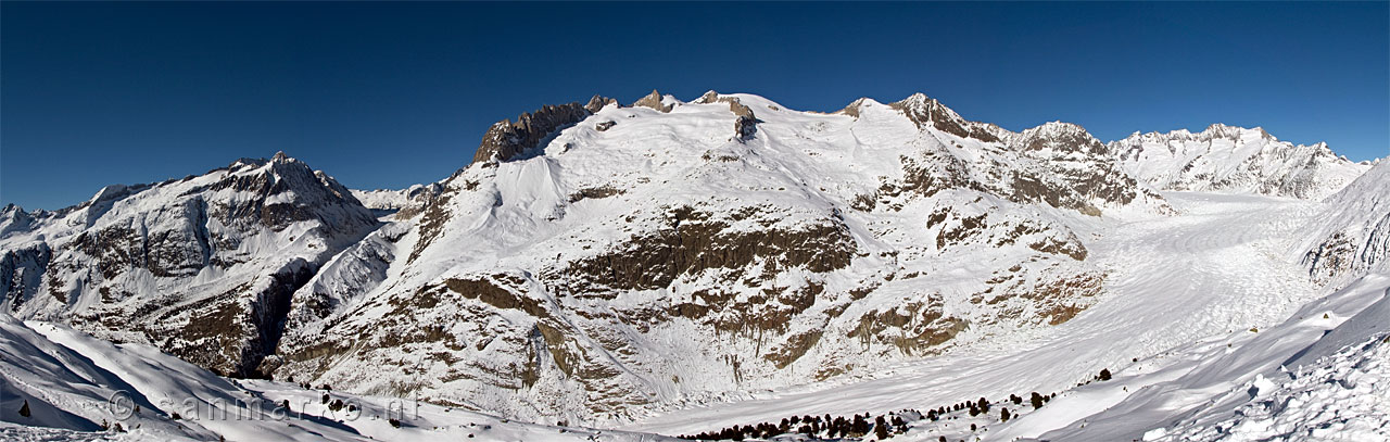 Panorama Aletschgletsjer in de winter