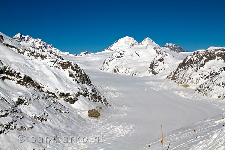 Het begin van de Aletschgletsjer vanaf de Eggishorn in Wallis