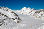 Het begin van de Aletschgletsjer vanaf de Eggishorn in Wallis