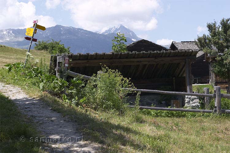 De muntertrog in Eischoll in Wallis