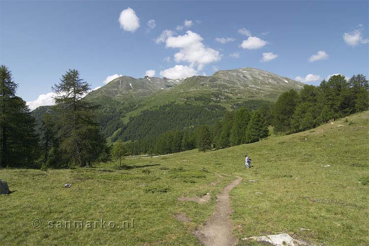 Uitzicht richting de Augstbordhorn in Wallis