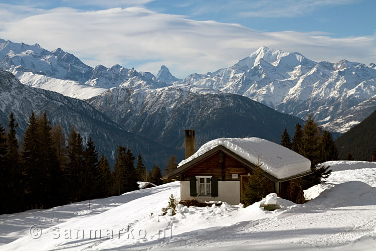 Een van de vele mooie uitzichten over het Rhônedal tijdens het wandelen bij Riederalp