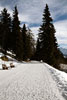 De winterwandelweg van Bettmeralp naar Riederalp in Zwitserland