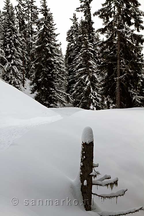 Een dikke laag ongerepte sneeuw tijdens onze winter wandeling bij Verbier