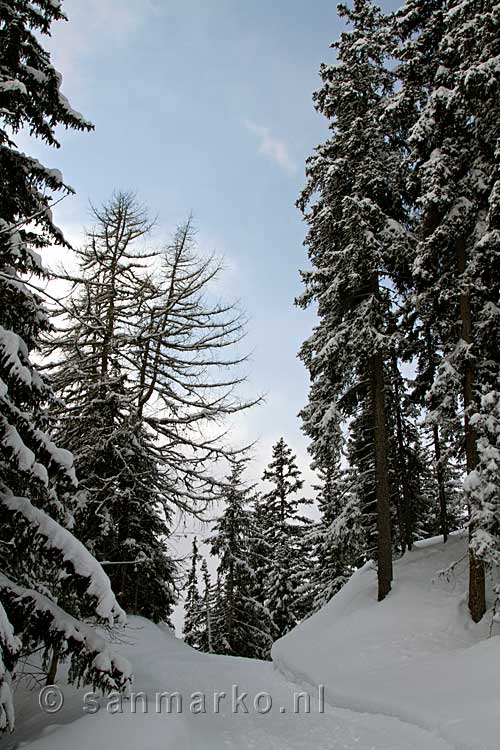 Mooi weer tijdens deze mooie winter wandeling bij Verbier in de Les Quatre Vallées