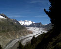 De Aletschgletsjer in Wallis in Zwitserland